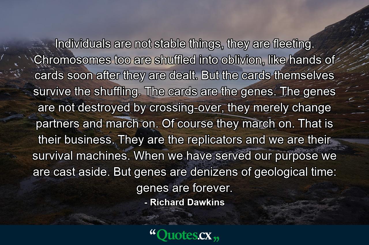 Individuals are not stable things, they are fleeting. Chromosomes too are shuffled into oblivion, like hands of cards soon after they are dealt. But the cards themselves survive the shuffling. The cards are the genes. The genes are not destroyed by crossing-over, they merely change partners and march on. Of course they march on. That is their business. They are the replicators and we are their survival machines. When we have served our purpose we are cast aside. But genes are denizens of geological time: genes are forever. - Quote by Richard Dawkins