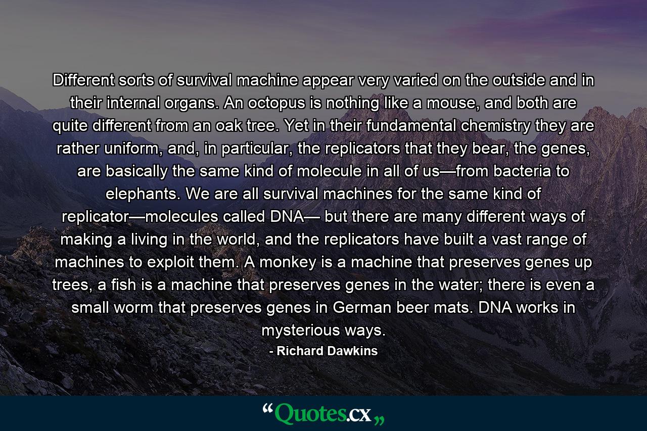 Different sorts of survival machine appear very varied on the outside and in their internal organs. An octopus is nothing like a mouse, and both are quite different from an oak tree. Yet in their fundamental chemistry they are rather uniform, and, in particular, the replicators that they bear, the genes, are basically the same kind of molecule in all of us—from bacteria to elephants. We are all survival machines for the same kind of replicator—molecules called DNA— but there are many different ways of making a living in the world, and the replicators have built a vast range of machines to exploit them. A monkey is a machine that preserves genes up trees, a fish is a machine that preserves genes in the water; there is even a small worm that preserves genes in German beer mats. DNA works in mysterious ways. - Quote by Richard Dawkins