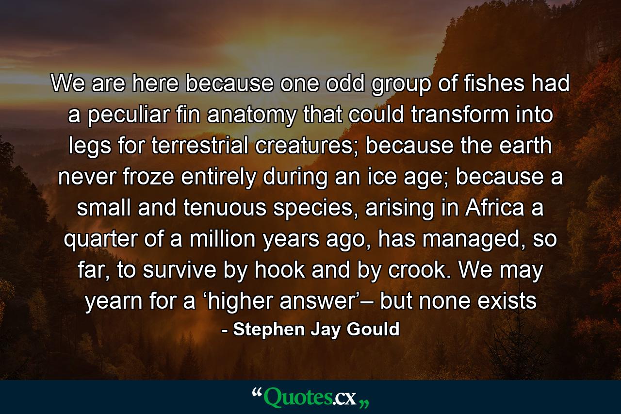 We are here because one odd group of fishes had a peculiar fin anatomy that could transform into legs for terrestrial creatures; because the earth never froze entirely during an ice age; because a small and tenuous species, arising in Africa a quarter of a million years ago, has managed, so far, to survive by hook and by crook. We may yearn for a ‘higher answer’– but none exists - Quote by Stephen Jay Gould