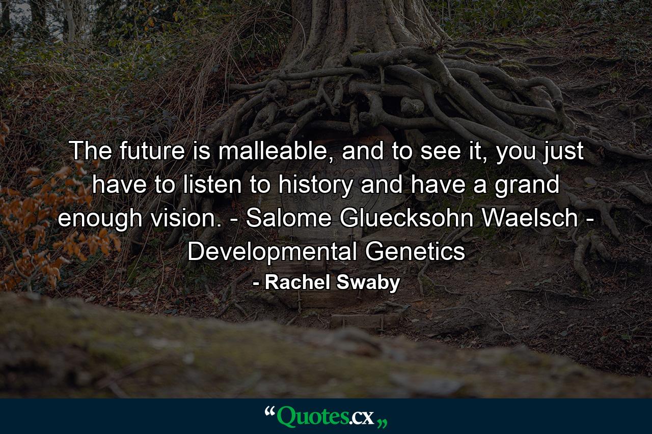 The future is malleable, and to see it, you just have to listen to history and have a grand enough vision. - Salome Gluecksohn Waelsch - Developmental Genetics - Quote by Rachel Swaby