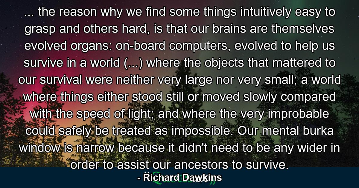 ... the reason why we find some things intuitively easy to grasp and others hard, is that our brains are themselves evolved organs: on-board computers, evolved to help us survive in a world (...) where the objects that mattered to our survival were neither very large nor very small; a world where things either stood still or moved slowly compared with the speed of light; and where the very improbable could safely be treated as impossible. Our mental burka window is narrow because it didn't need to be any wider in order to assist our ancestors to survive. - Quote by Richard Dawkins