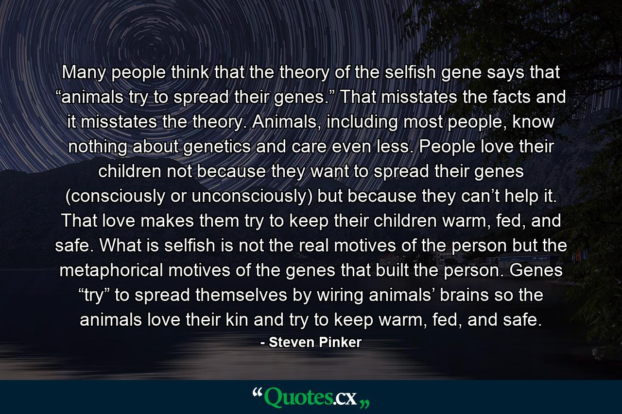 Many people think that the theory of the selfish gene says that “animals try to spread their genes.” That misstates the facts and it misstates the theory. Animals, including most people, know nothing about genetics and care even less. People love their children not because they want to spread their genes (consciously or unconsciously) but because they can’t help it. That love makes them try to keep their children warm, fed, and safe. What is selfish is not the real motives of the person but the metaphorical motives of the genes that built the person. Genes “try” to spread themselves by wiring animals’ brains so the animals love their kin and try to keep warm, fed, and safe. - Quote by Steven Pinker