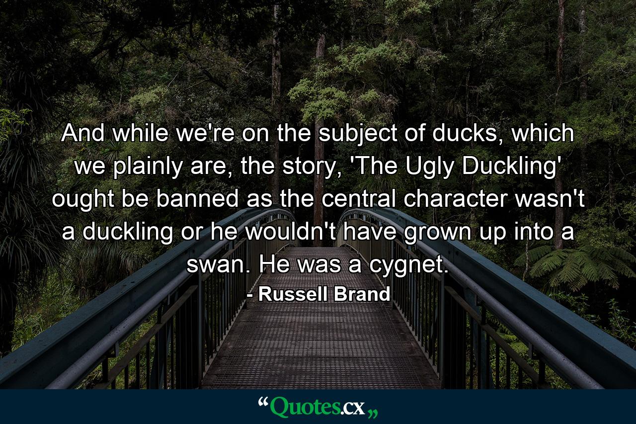 And while we're on the subject of ducks, which we plainly are, the story, 'The Ugly Duckling' ought be banned as the central character wasn't a duckling or he wouldn't have grown up into a swan. He was a cygnet. - Quote by Russell Brand