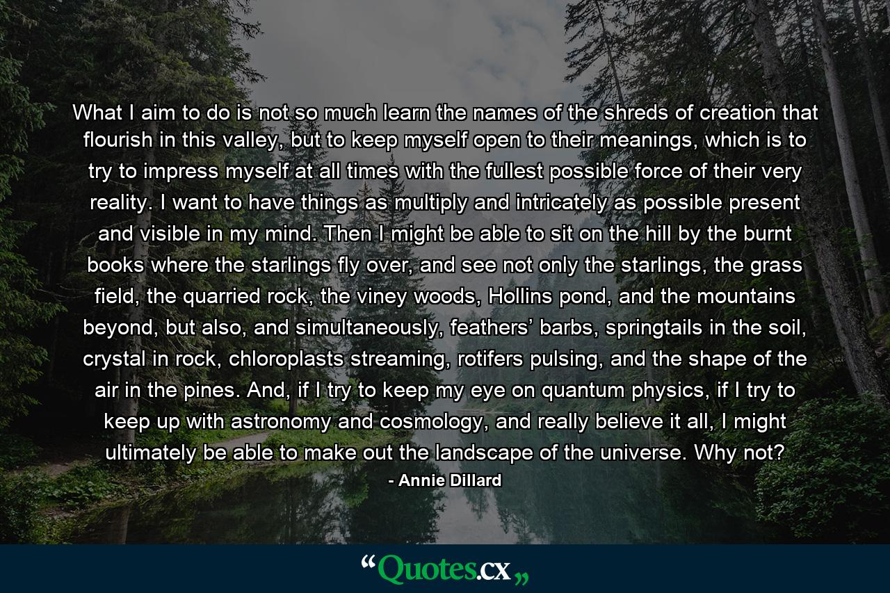 What I aim to do is not so much learn the names of the shreds of creation that flourish in this valley, but to keep myself open to their meanings, which is to try to impress myself at all times with the fullest possible force of their very reality. I want to have things as multiply and intricately as possible present and visible in my mind. Then I might be able to sit on the hill by the burnt books where the starlings fly over, and see not only the starlings, the grass field, the quarried rock, the viney woods, Hollins pond, and the mountains beyond, but also, and simultaneously, feathers’ barbs, springtails in the soil, crystal in rock, chloroplasts streaming, rotifers pulsing, and the shape of the air in the pines. And, if I try to keep my eye on quantum physics, if I try to keep up with astronomy and cosmology, and really believe it all, I might ultimately be able to make out the landscape of the universe. Why not? - Quote by Annie Dillard