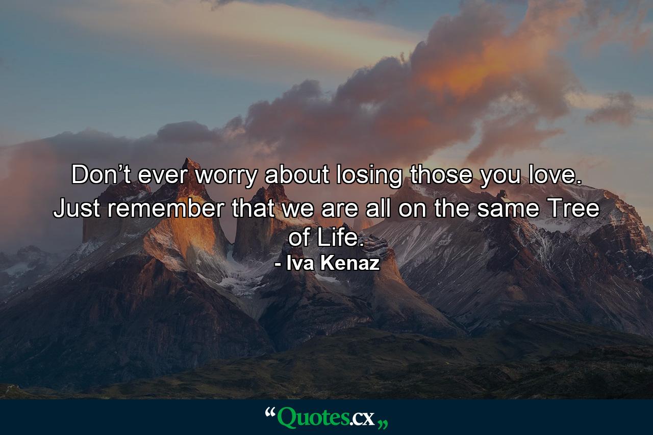 Don’t ever worry about losing those you love. Just remember that we are all on the same Tree of Life. - Quote by Iva Kenaz