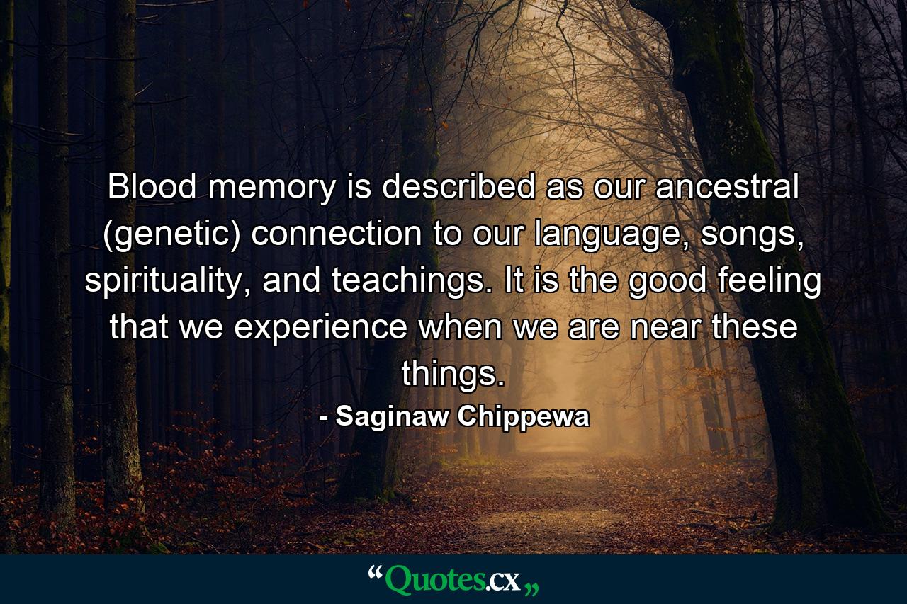 Blood memory is described as our ancestral (genetic) connection to our language, songs, spirituality, and teachings. It is the good feeling that we experience when we are near these things. - Quote by Saginaw Chippewa