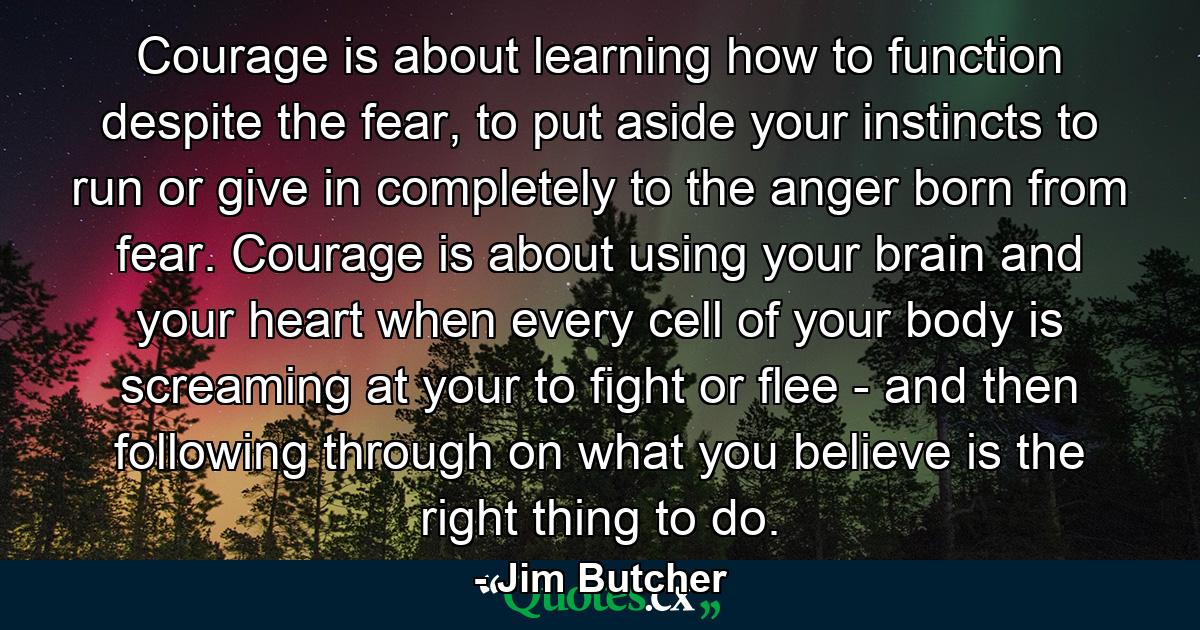 Courage is about learning how to function despite the fear, to put aside your instincts to run or give in completely to the anger born from fear. Courage is about using your brain and your heart when every cell of your body is screaming at your to fight or flee - and then following through on what you believe is the right thing to do. - Quote by Jim Butcher