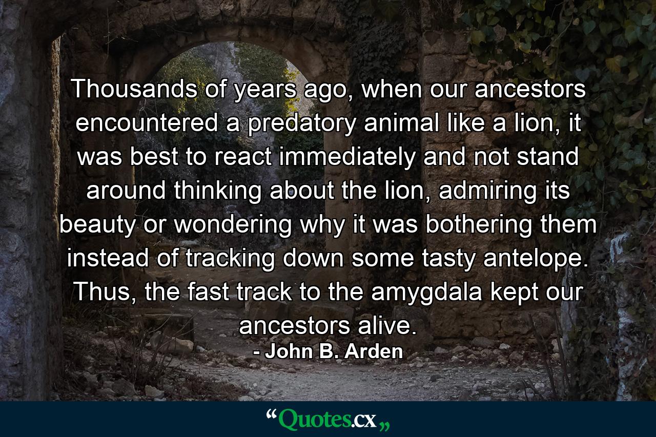 Thousands of years ago, when our ancestors encountered a predatory animal like a lion, it was best to react immediately and not stand around thinking about the lion, admiring its beauty or wondering why it was bothering them instead of tracking down some tasty antelope. Thus, the fast track to the amygdala kept our ancestors alive. - Quote by John B. Arden