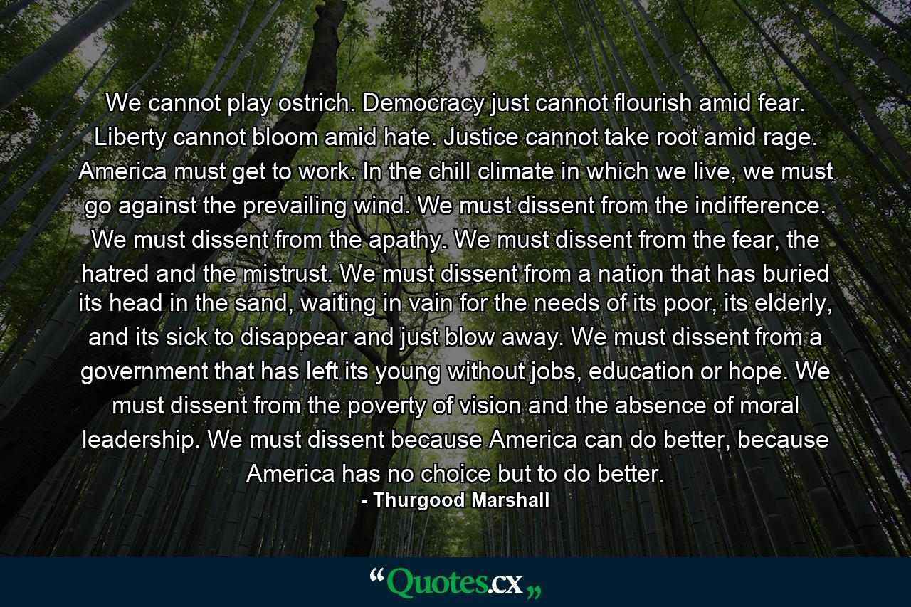 We cannot play ostrich. Democracy just cannot flourish amid fear. Liberty cannot bloom amid hate. Justice cannot take root amid rage. America must get to work. In the chill climate in which we live, we must go against the prevailing wind. We must dissent from the indifference. We must dissent from the apathy. We must dissent from the fear, the hatred and the mistrust. We must dissent from a nation that has buried its head in the sand, waiting in vain for the needs of its poor, its elderly, and its sick to disappear and just blow away. We must dissent from a government that has left its young without jobs, education or hope. We must dissent from the poverty of vision and the absence of moral leadership. We must dissent because America can do better, because America has no choice but to do better. - Quote by Thurgood Marshall