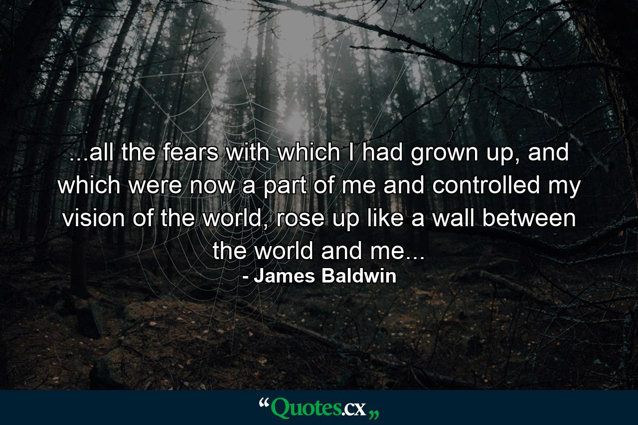 ...all the fears with which I had grown up, and which were now a part of me and controlled my vision of the world, rose up like a wall between the world and me... - Quote by James Baldwin