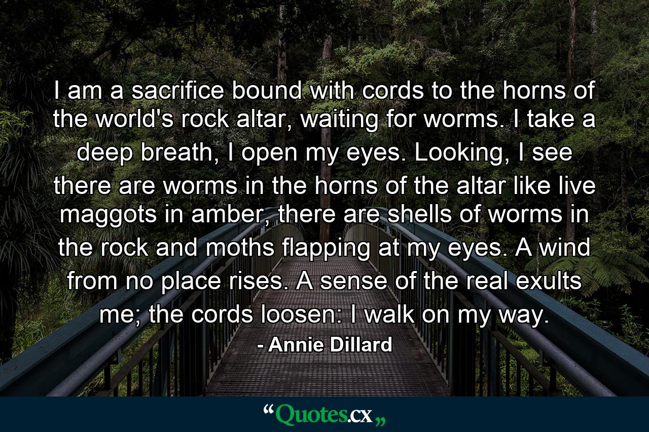 I am a sacrifice bound with cords to the horns of the world's rock altar, waiting for worms. I take a deep breath, I open my eyes. Looking, I see there are worms in the horns of the altar like live maggots in amber, there are shells of worms in the rock and moths flapping at my eyes. A wind from no place rises. A sense of the real exults me; the cords loosen: I walk on my way. - Quote by Annie Dillard