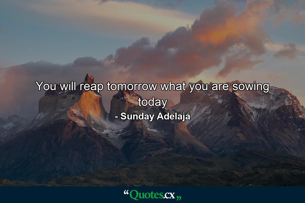 You will reap tomorrow what you are sowing today - Quote by Sunday Adelaja