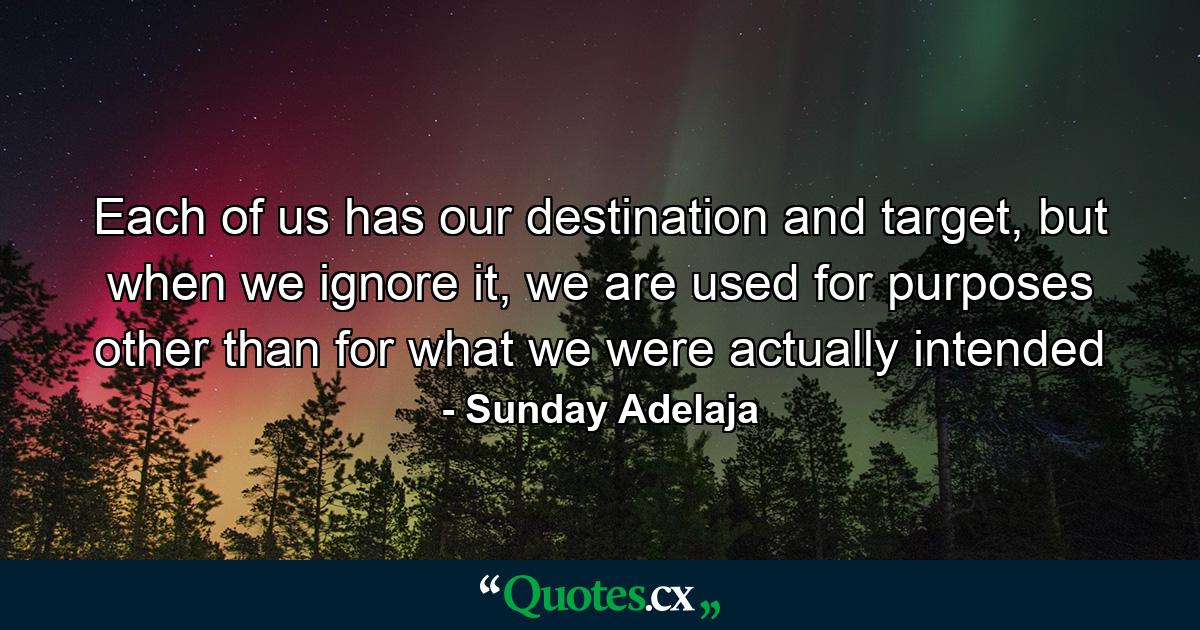 Each of us has our destination and target, but when we ignore it, we are used for purposes other than for what we were actually intended - Quote by Sunday Adelaja