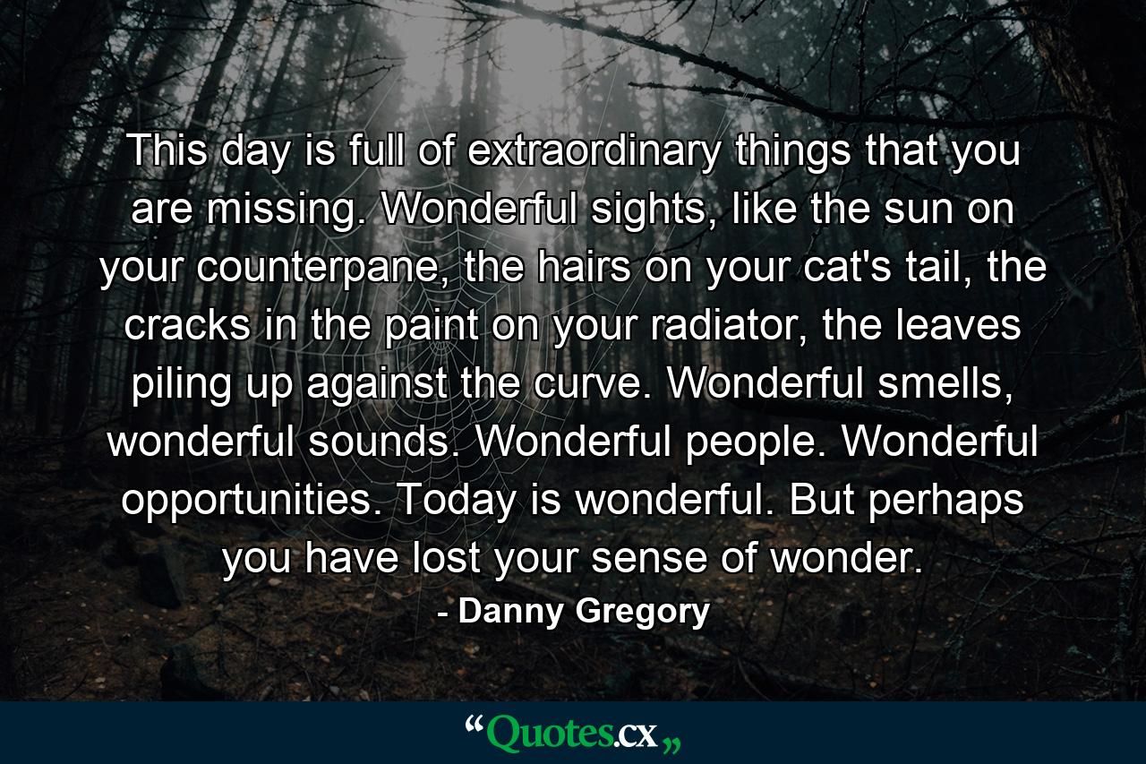 This day is full of extraordinary things that you are missing. Wonderful sights, like the sun on your counterpane, the hairs on your cat's tail, the cracks in the paint on your radiator, the leaves piling up against the curve. Wonderful smells, wonderful sounds. Wonderful people. Wonderful opportunities. Today is wonderful. But perhaps you have lost your sense of wonder. - Quote by Danny Gregory