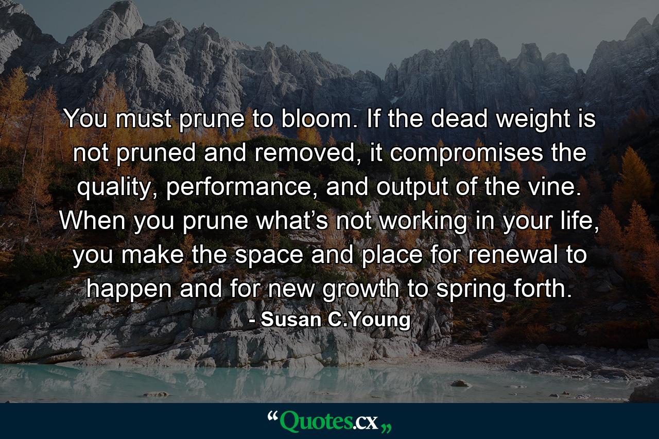 You must prune to bloom. If the dead weight is not pruned and removed, it compromises the quality, performance, and output of the vine. When you prune what’s not working in your life, you make the space and place for renewal to happen and for new growth to spring forth. - Quote by Susan C.Young