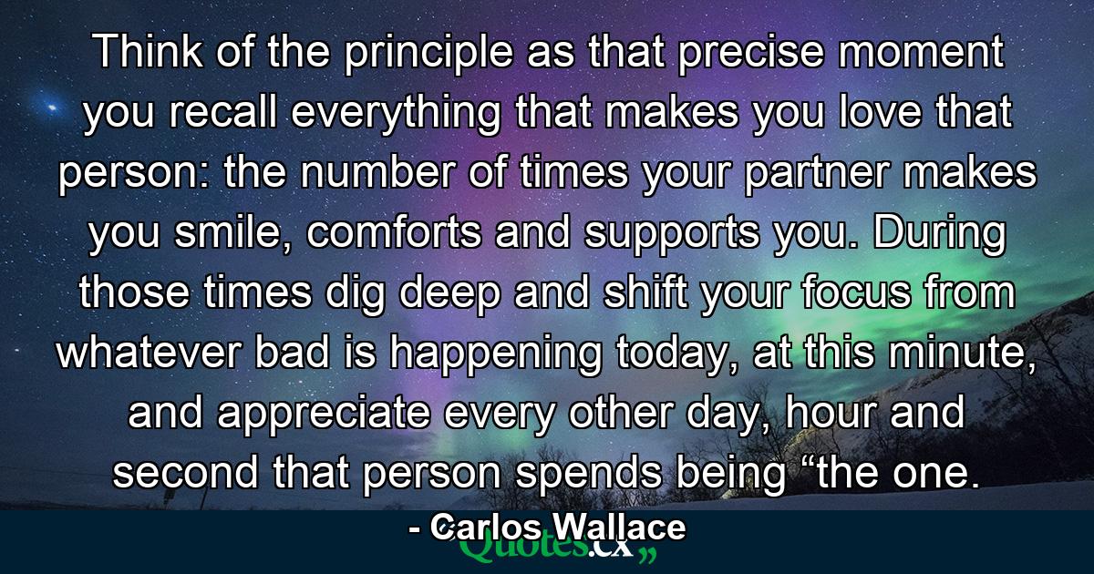 Think of the principle as that precise moment you recall everything that makes you love that person: the number of times your partner makes you smile, comforts and supports you. During those times dig deep and shift your focus from whatever bad is happening today, at this minute, and appreciate every other day, hour and second that person spends being “the one. - Quote by Carlos Wallace