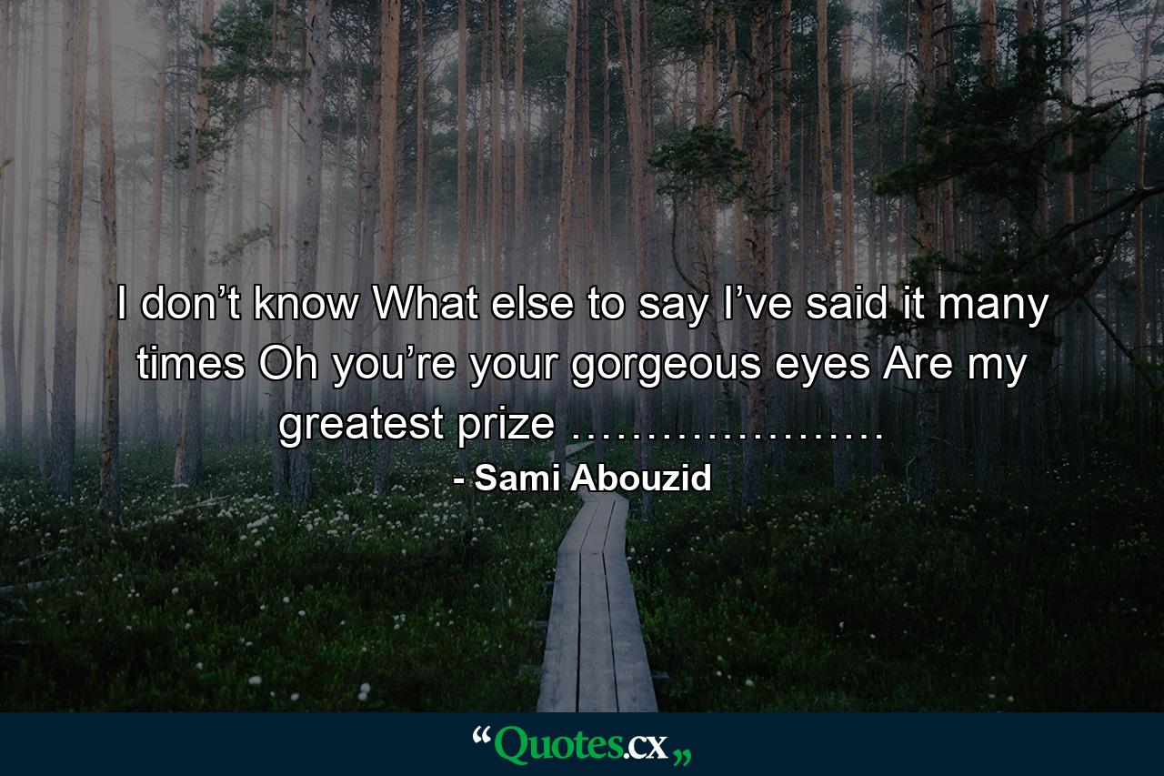 I don’t know What else to say I’ve said it many times Oh you’re your gorgeous eyes Are my greatest prize ………………… - Quote by Sami Abouzid