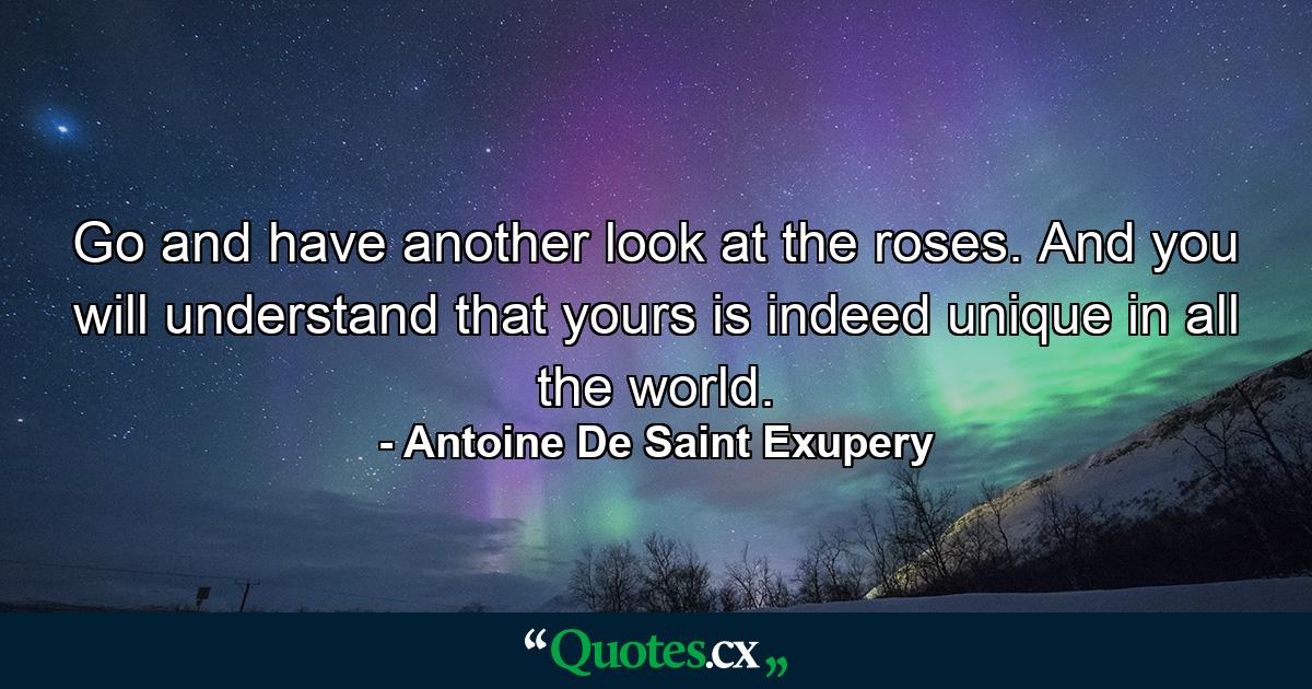 Go and have another look at the roses. And you will understand that yours is indeed unique in all the world. - Quote by Antoine De Saint Exupery