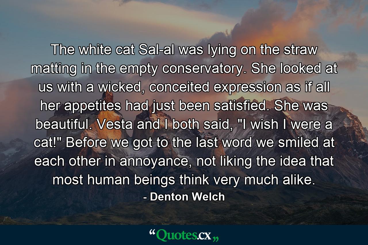 The white cat Sal-al was lying on the straw matting in the empty conservatory. She looked at us with a wicked, conceited expression as if all her appetites had just been satisfied. She was beautiful. Vesta and I both said, 