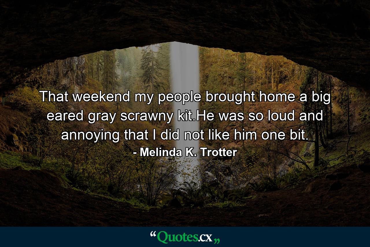 That weekend my people brought home a big eared gray scrawny kit.He was so loud and annoying that I did not like him one bit. - Quote by Melinda K. Trotter