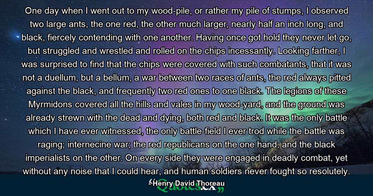 One day when I went out to my wood-pile, or rather my pile of stumps, I observed two large ants, the one red, the other much larger, nearly half an inch long, and black, fiercely contending with one another. Having once got hold they never let go, but struggled and wrestled and rolled on the chips incessantly. Looking farther, I was surprised to find that the chips were covered with such combatants, that it was not a duellum, but a bellum, a war between two races of ants, the red always pitted against the black, and frequently two red ones to one black. The legions of these Myrmidons covered all the hills and vales in my wood-yard, and the ground was already strewn with the dead and dying, both red and black. It was the only battle which I have ever witnessed, the only battle-field I ever trod while the battle was raging; internecine war; the red republicans on the one hand, and the black imperialists on the other. On every side they were engaged in deadly combat, yet without any noise that I could hear, and human soldiers never fought so resolutely. - Quote by Henry David Thoreau