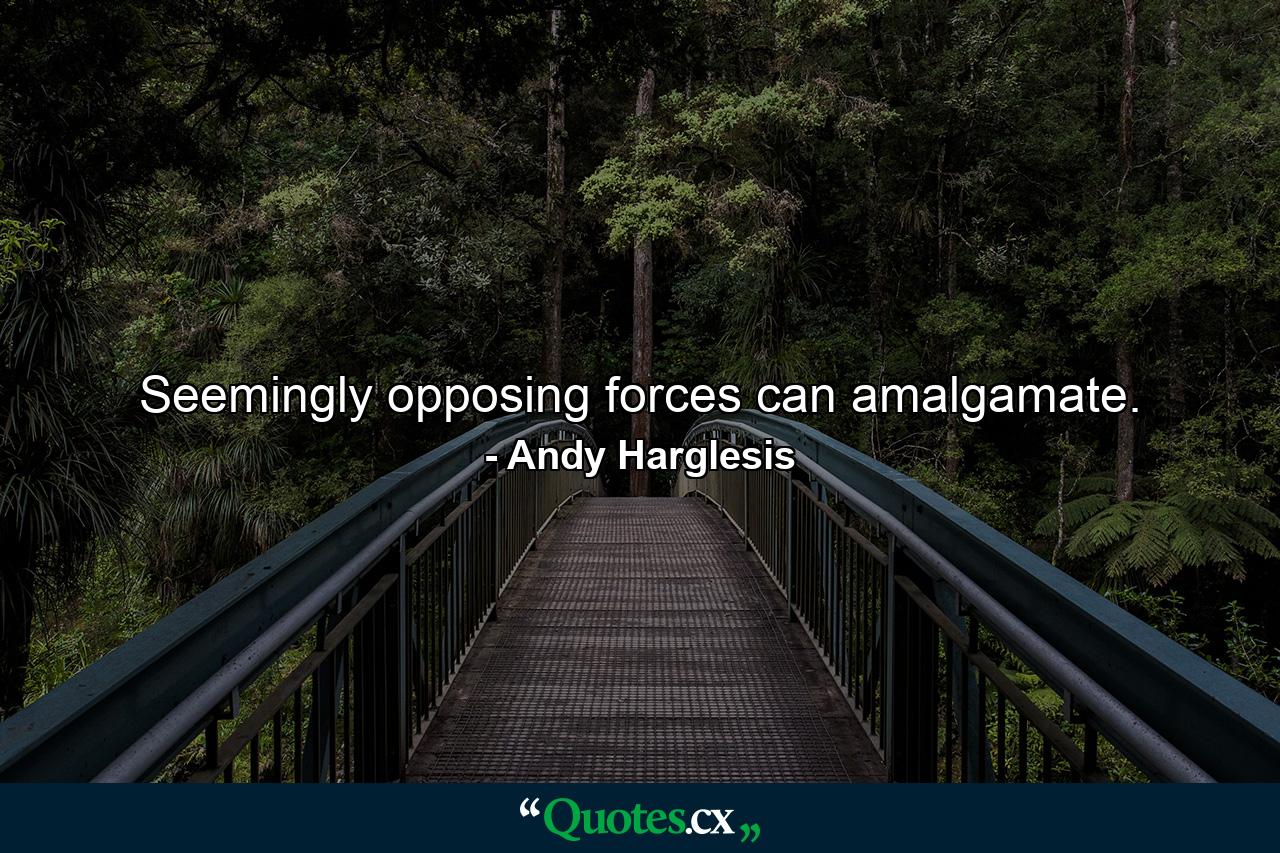 Seemingly opposing forces can amalgamate. - Quote by Andy Harglesis