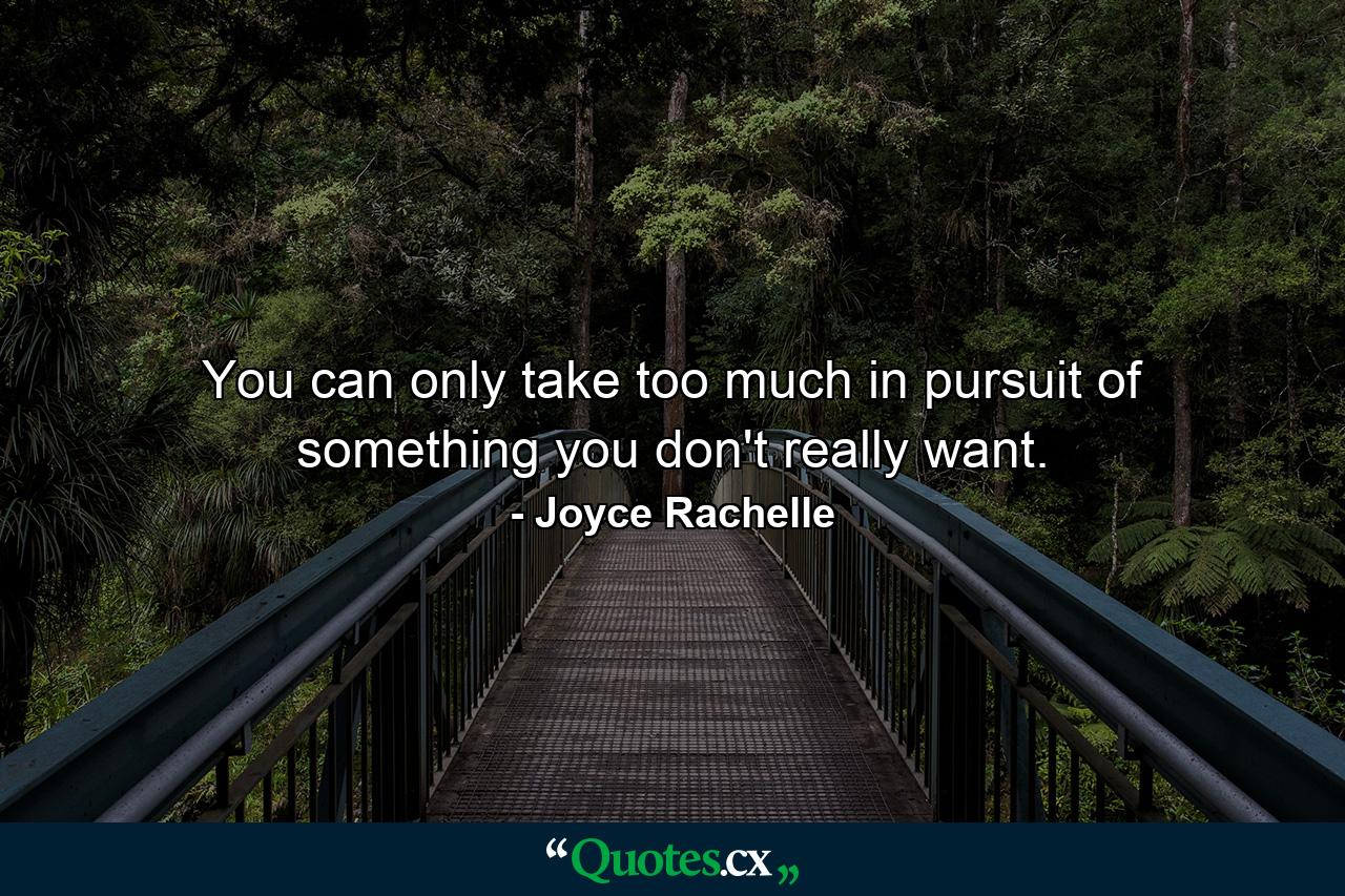 You can only take too much in pursuit of something you don't really want. - Quote by Joyce Rachelle