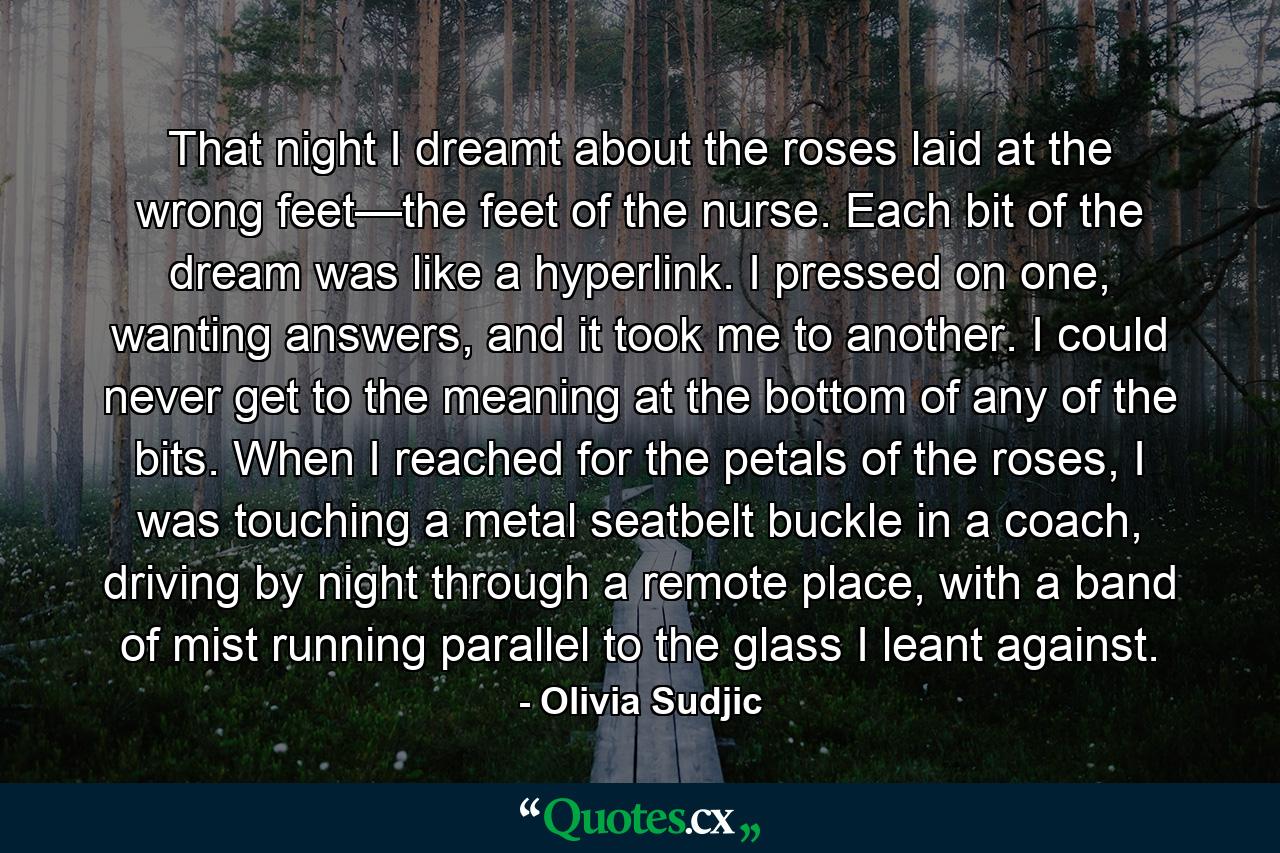 That night I dreamt about the roses laid at the wrong feet—the feet of the nurse. Each bit of the dream was like a hyperlink. I pressed on one, wanting answers, and it took me to another. I could never get to the meaning at the bottom of any of the bits. When I reached for the petals of the roses, I was touching a metal seatbelt buckle in a coach, driving by night through a remote place, with a band of mist running parallel to the glass I leant against. - Quote by Olivia Sudjic