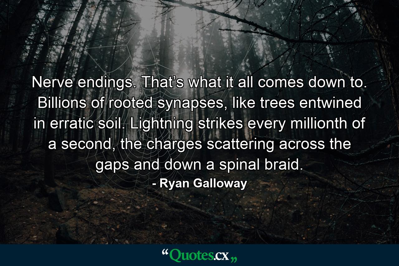 Nerve endings. That’s what it all comes down to. Billions of rooted synapses, like trees entwined in erratic soil. Lightning strikes every millionth of a second, the charges scattering across the gaps and down a spinal braid. - Quote by Ryan Galloway