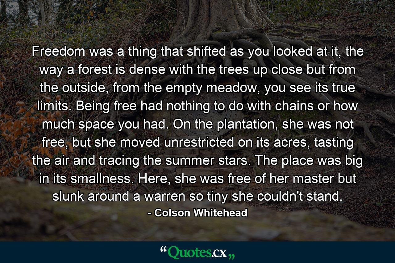 Freedom was a thing that shifted as you looked at it, the way a forest is dense with the trees up close but from the outside, from the empty meadow, you see its true limits. Being free had nothing to do with chains or how much space you had. On the plantation, she was not free, but she moved unrestricted on its acres, tasting the air and tracing the summer stars. The place was big in its smallness. Here, she was free of her master but slunk around a warren so tiny she couldn't stand. - Quote by Colson Whitehead