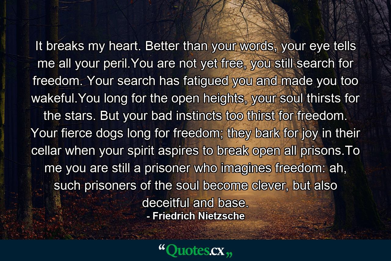 It breaks my heart. Better than your words, your eye tells me all your peril.You are not yet free, you still search for freedom. Your search has fatigued you and made you too wakeful.You long for the open heights, your soul thirsts for the stars. But your bad instincts too thirst for freedom. Your fierce dogs long for freedom; they bark for joy in their cellar when your spirit aspires to break open all prisons.To me you are still a prisoner who imagines freedom: ah, such prisoners of the soul become clever, but also deceitful and base. - Quote by Friedrich Nietzsche