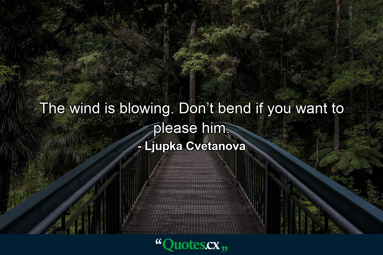 The wind is blowing. Don’t bend if you want to please him. - Quote by Ljupka Cvetanova