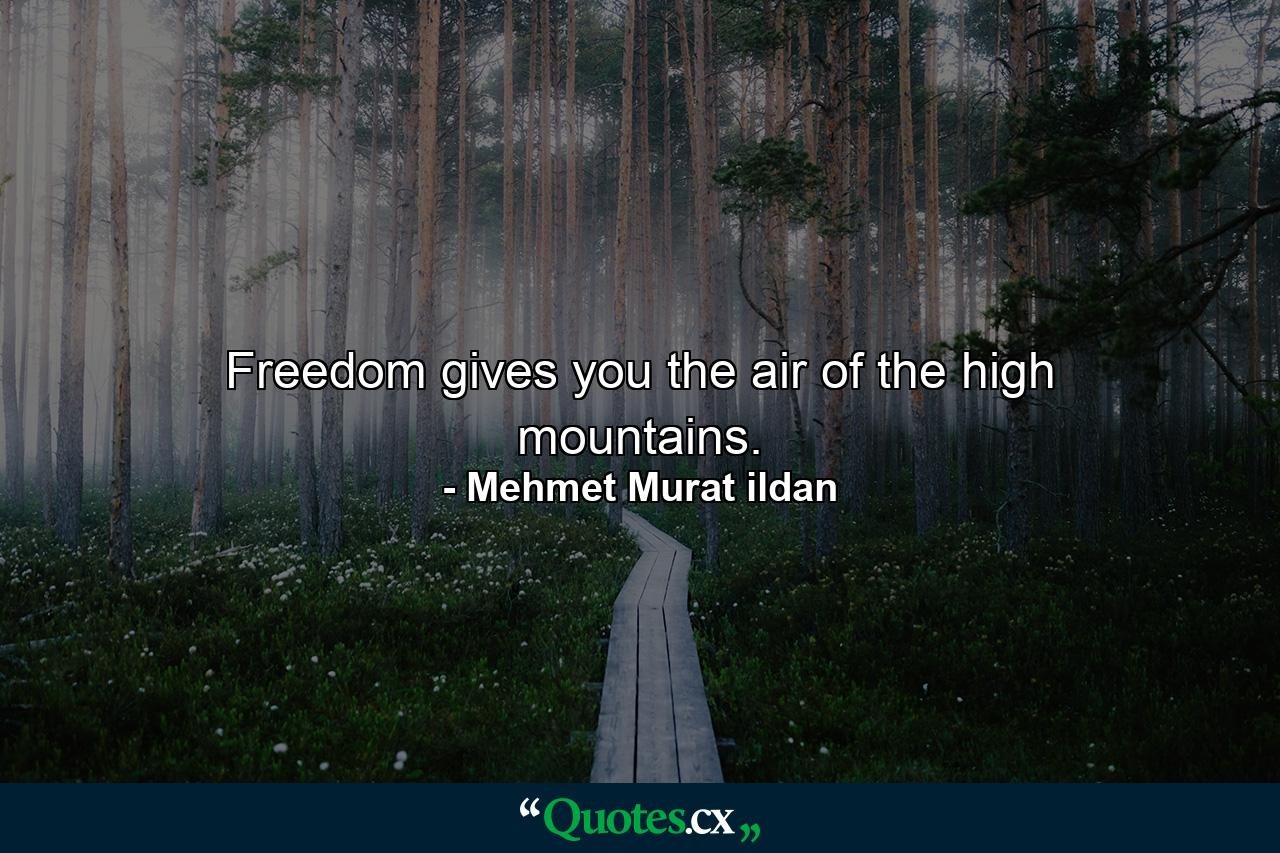 Freedom gives you the air of the high mountains. - Quote by Mehmet Murat ildan