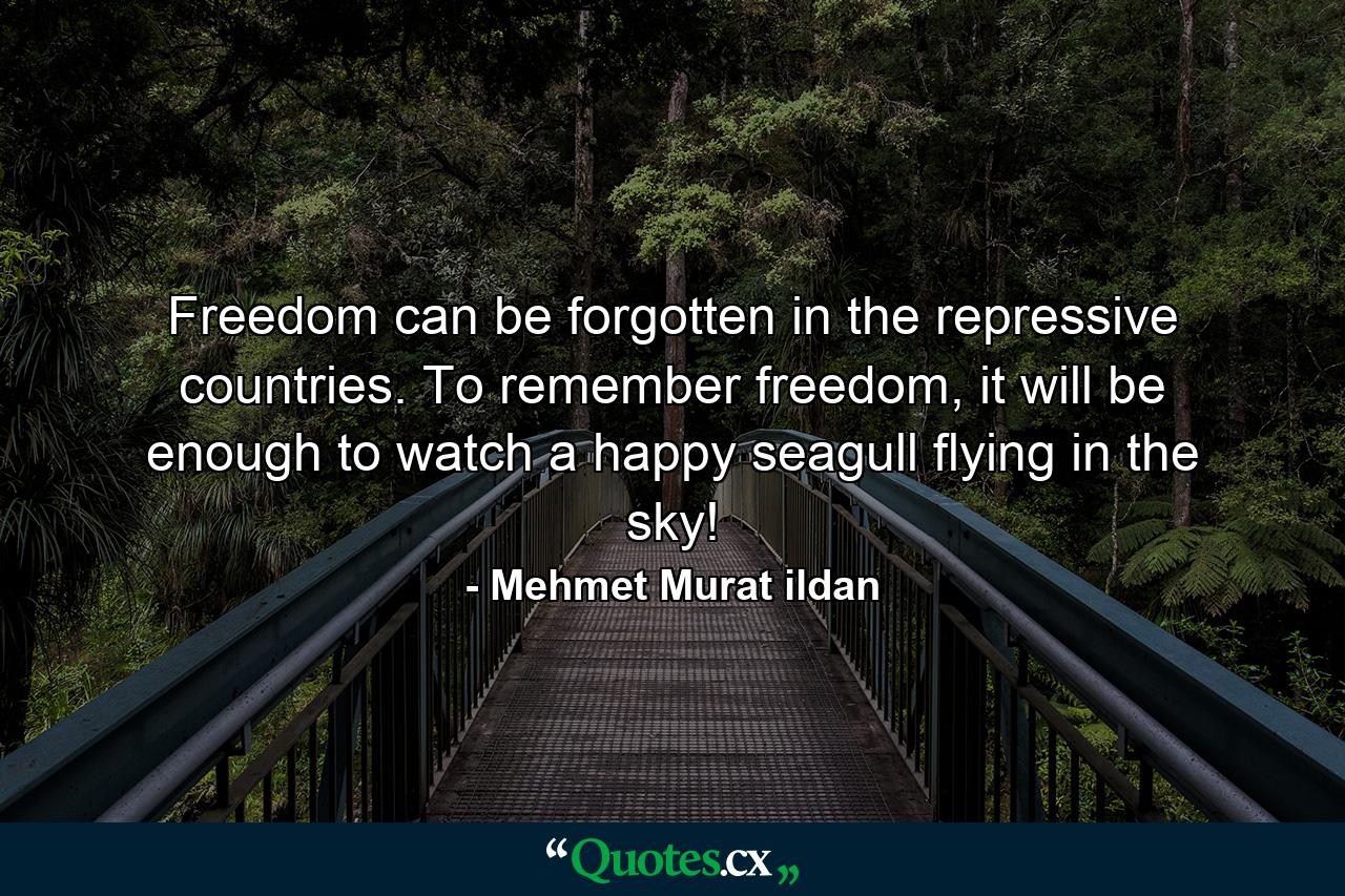 Freedom can be forgotten in the repressive countries. To remember freedom, it will be enough to watch a happy seagull flying in the sky! - Quote by Mehmet Murat ildan